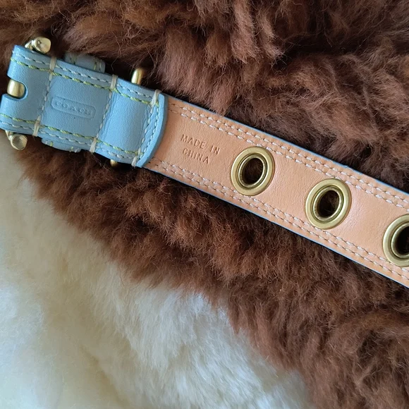 Coach Dog collar